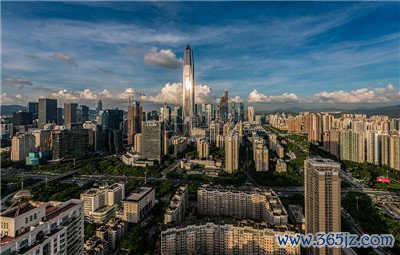 提供全方位的专业服务，为您的宠物带来快乐与健康